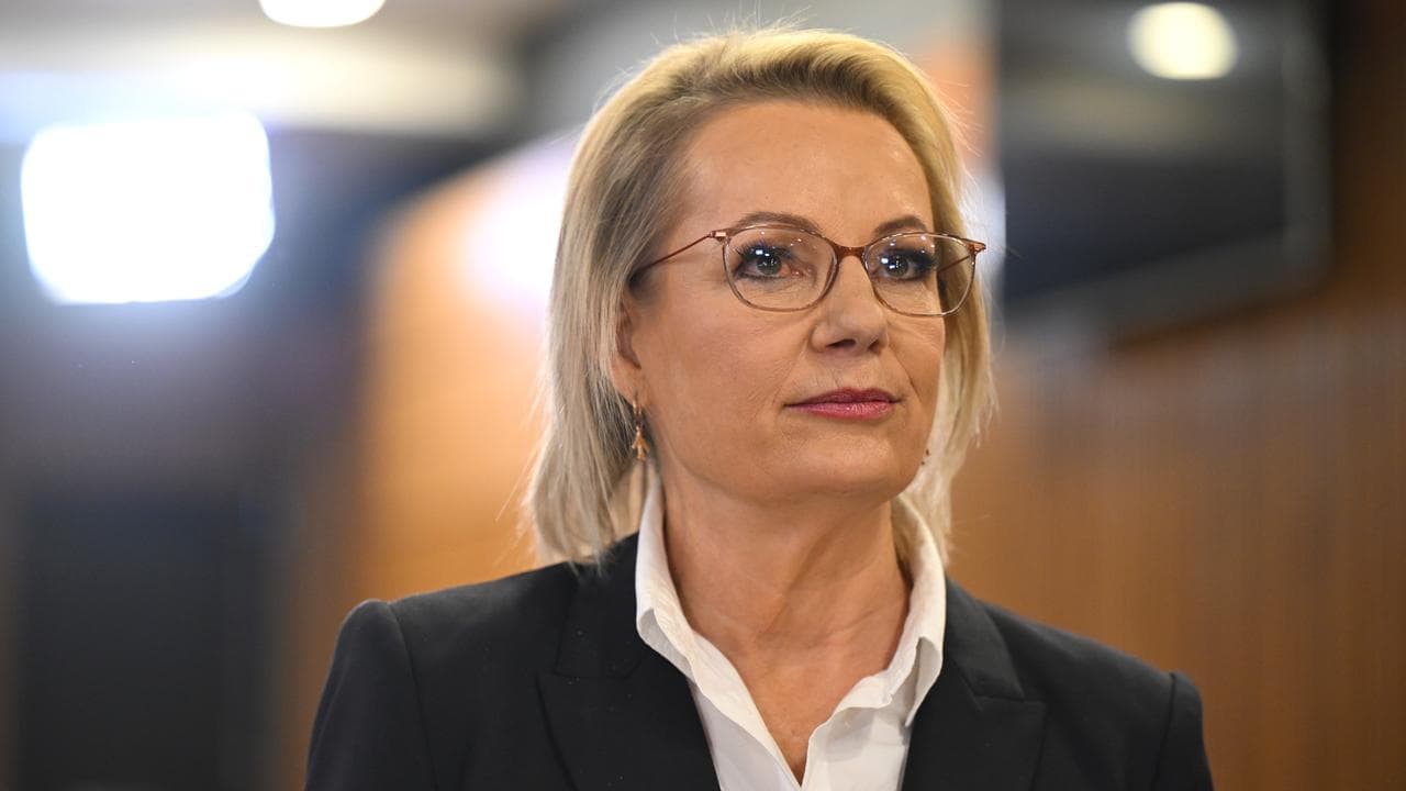Opposition Leader Sussan Ley (file image)