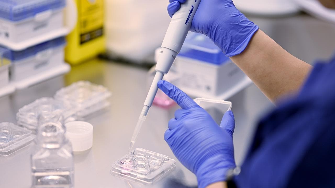 Laboratory technicians at work at the Connect IVF Lab in Sydney