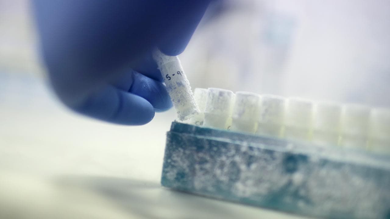 A vial containing frozen donor sperm samples in a lab