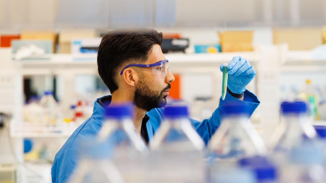 A researcher looks at a test (file image)