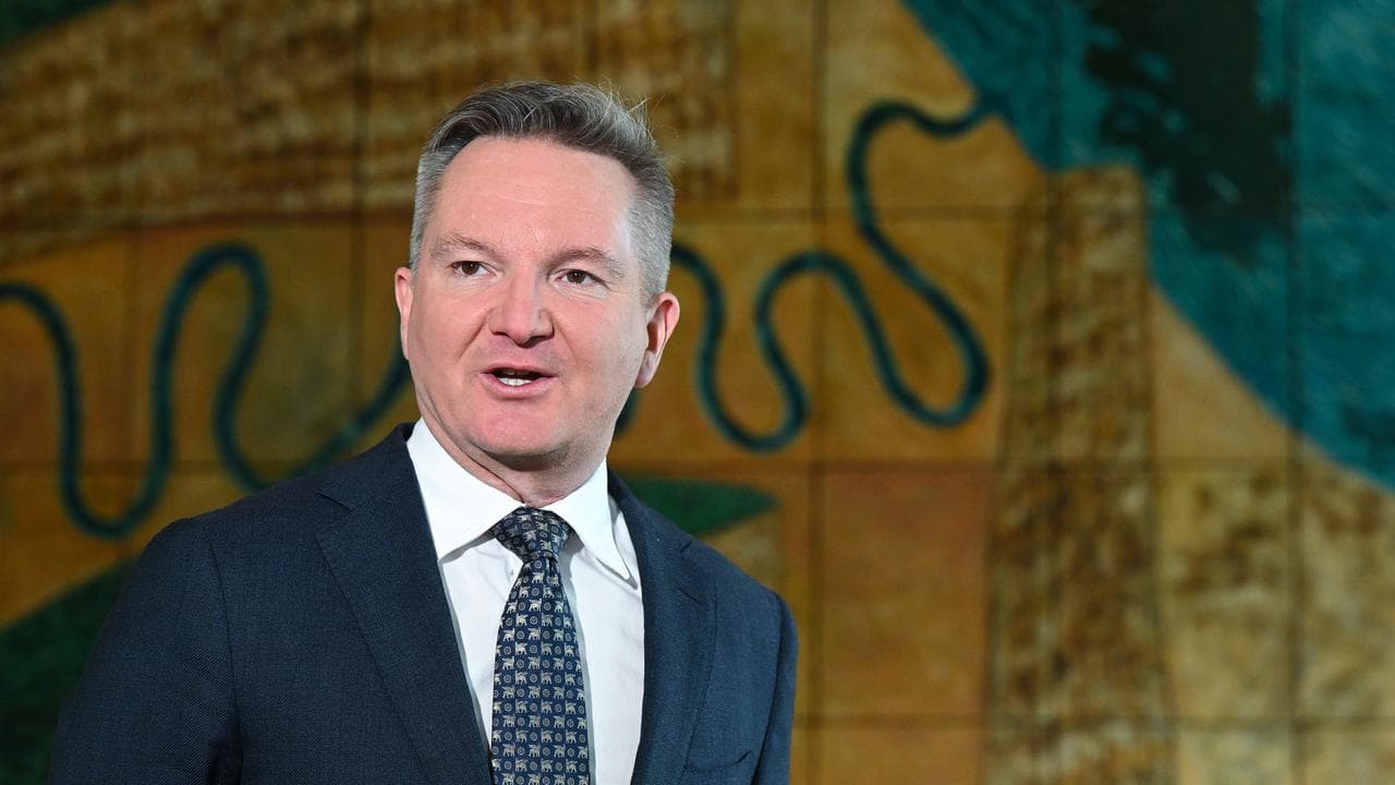 Climate Change Minister Chris Bowen (file image)
