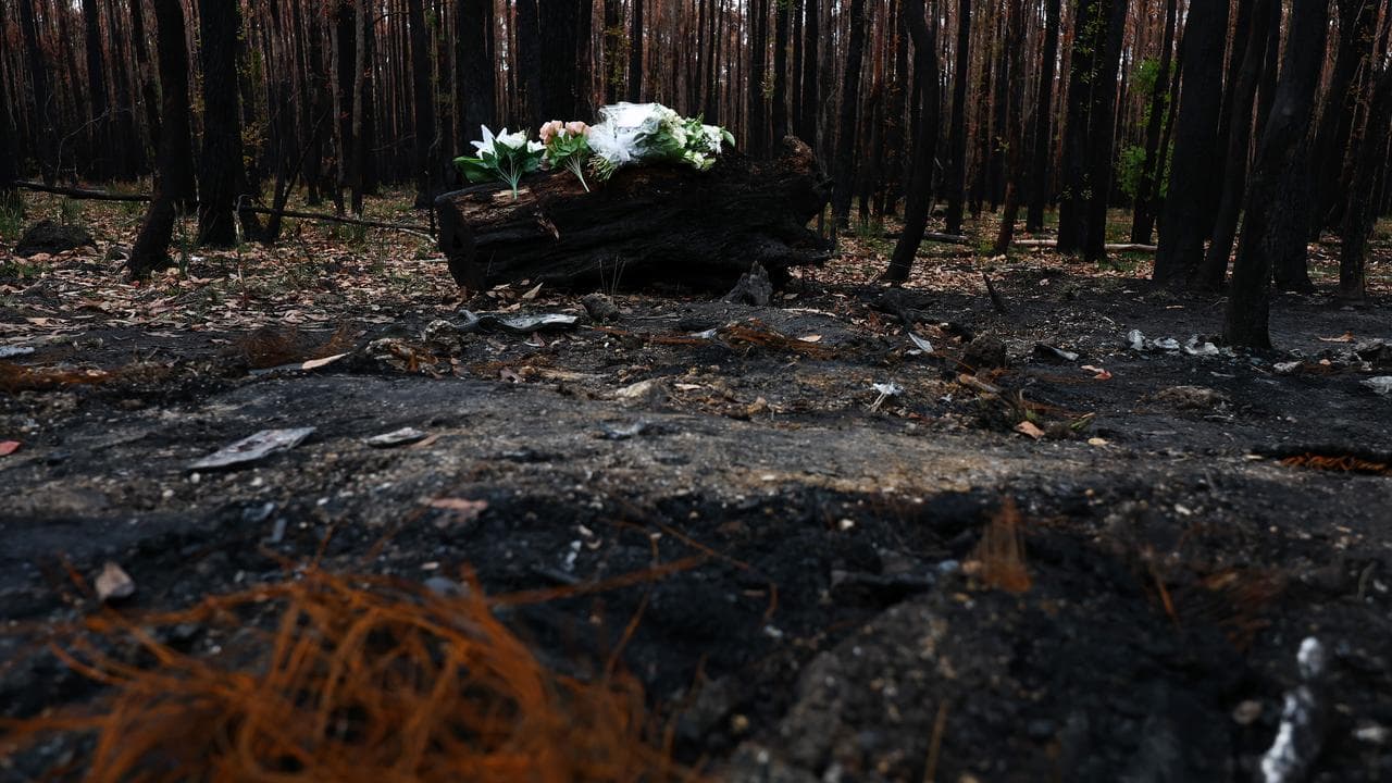 Scene where Hannah McGuire's remains were found (file)