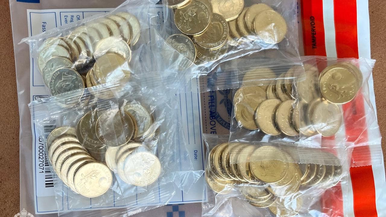 Bluey coins (file)