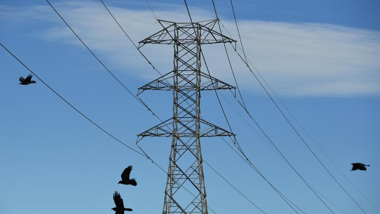 Crows fly past an energy transmission tower