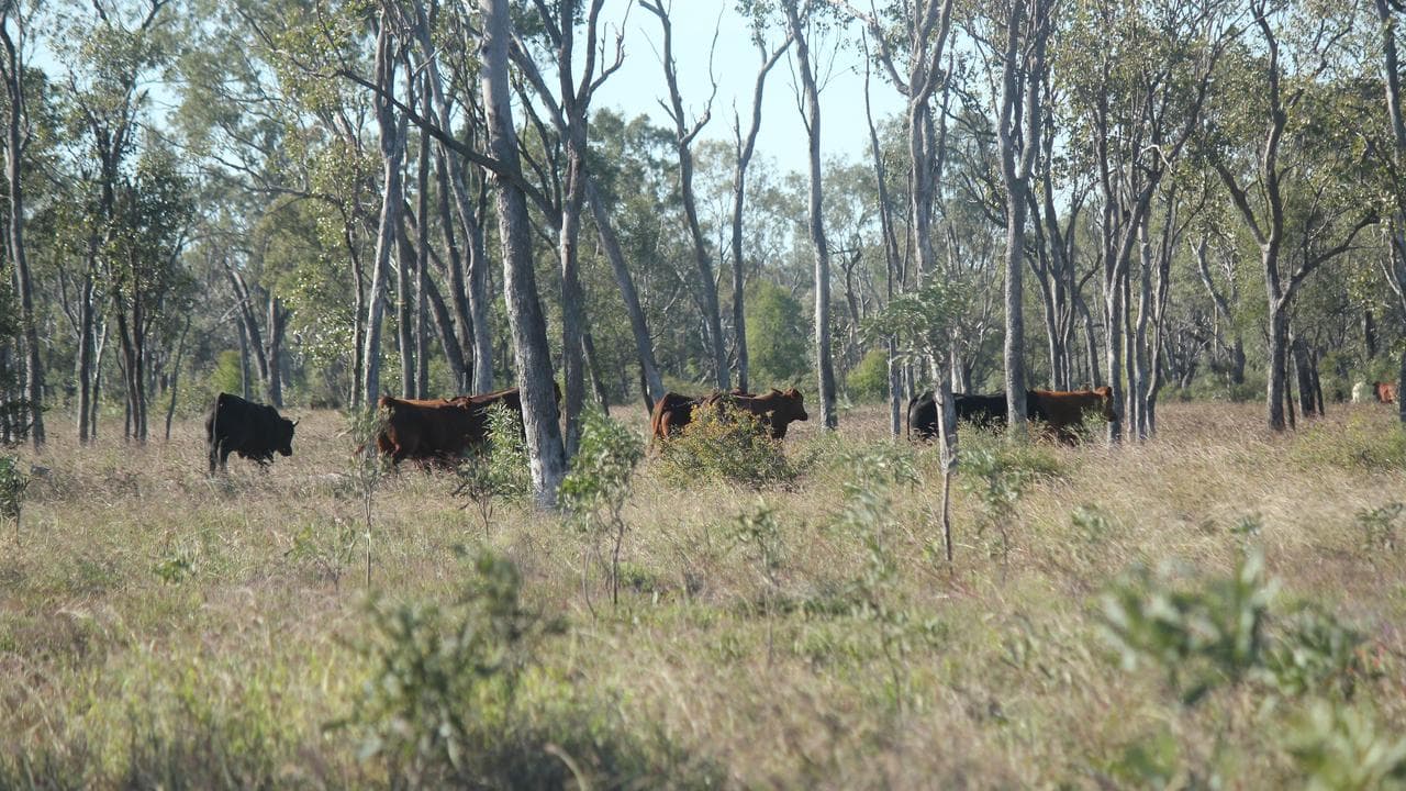 Winchester South proposed mine site