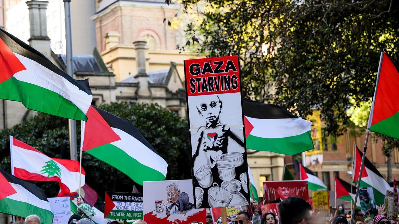 Pro-Palestinian protesters