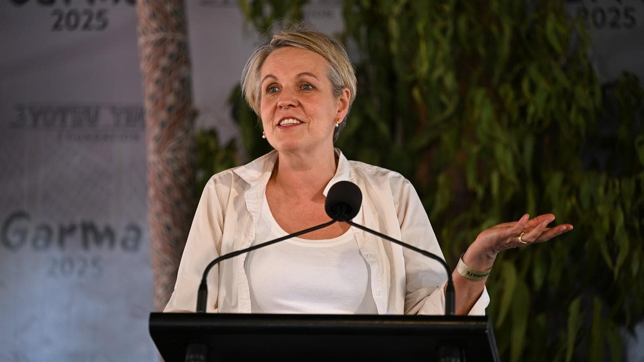 A file photo of Tanya Plibersek