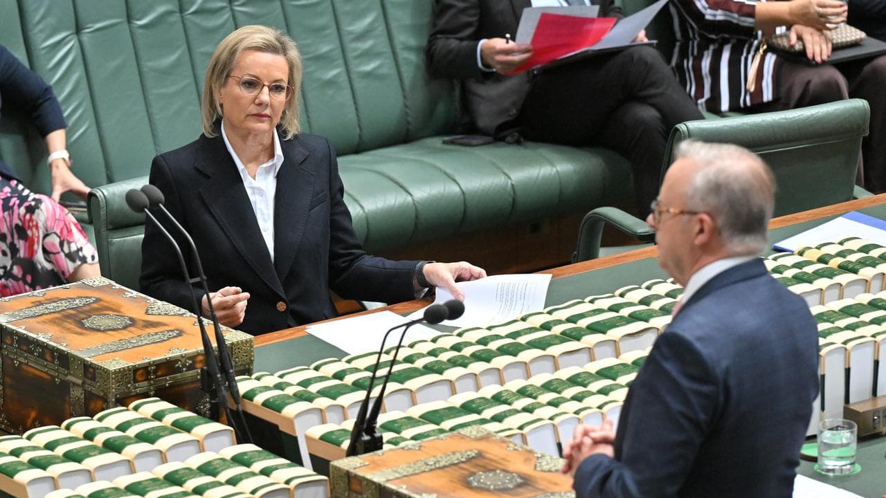 Leader of the Opposition Sussan Ley in parliament