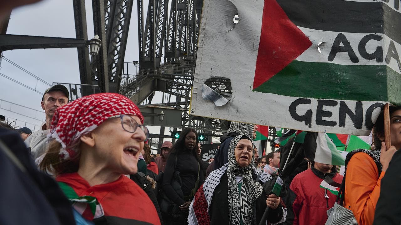 Pro-Palestine protest