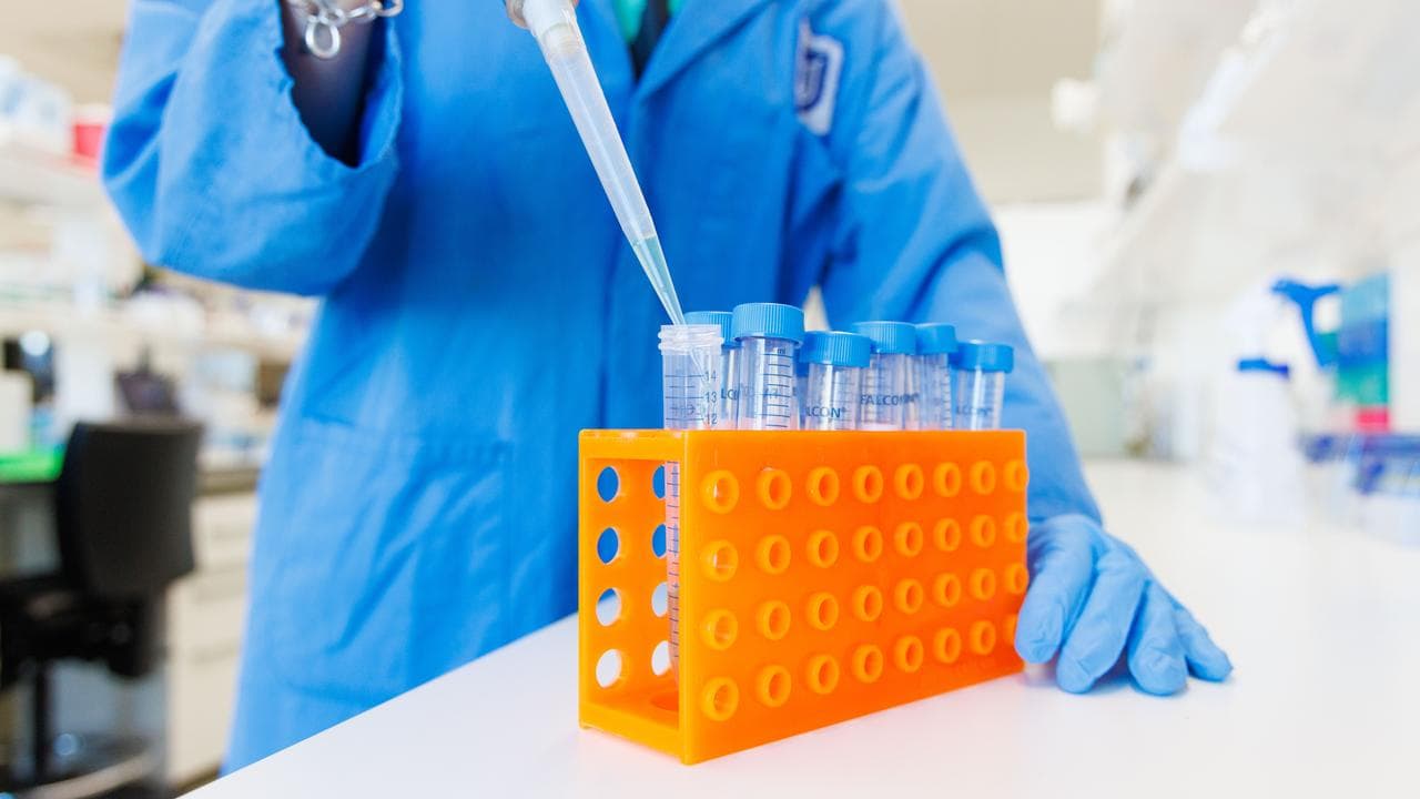 A researcher in a laboratory (file image)