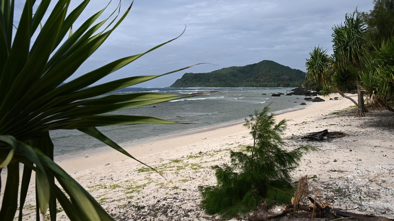 Vegetation on the beach of  Nguna Island, Vanuatu