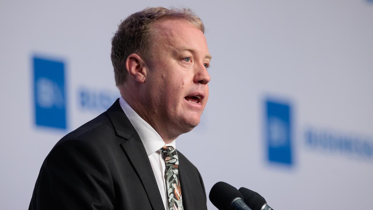 Mining Minister David Michael (file image)