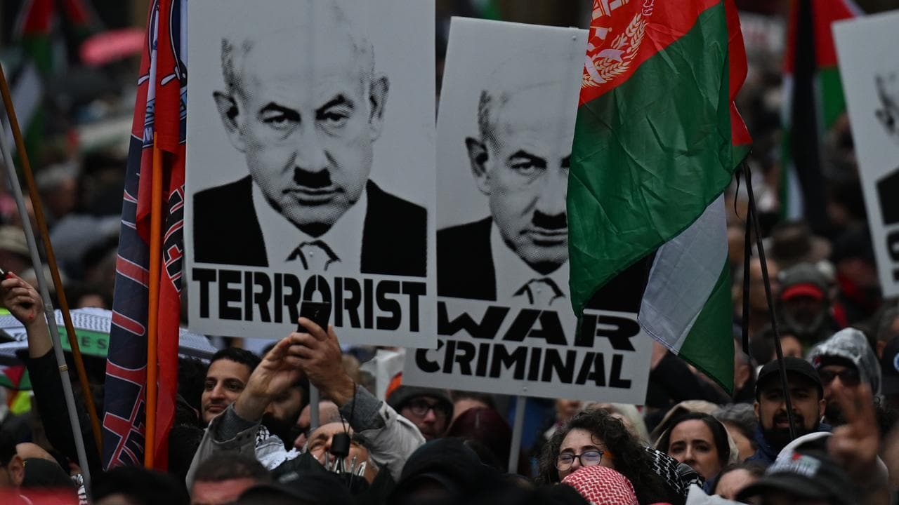 Pro-Palestine protesters