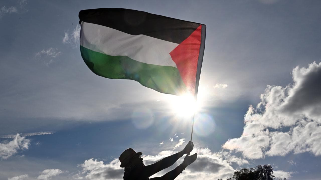 A protester at a pro Palestine rally (file image)