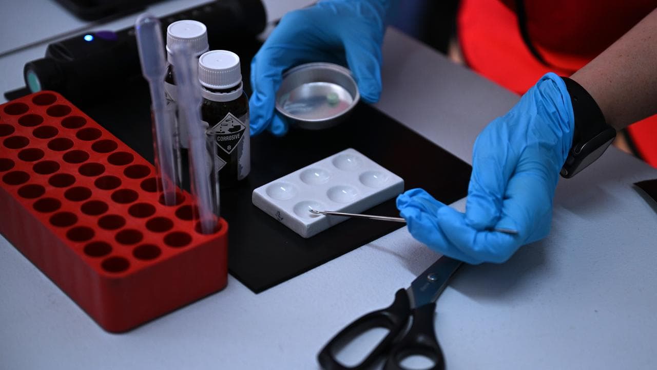 Pill testing (file image)