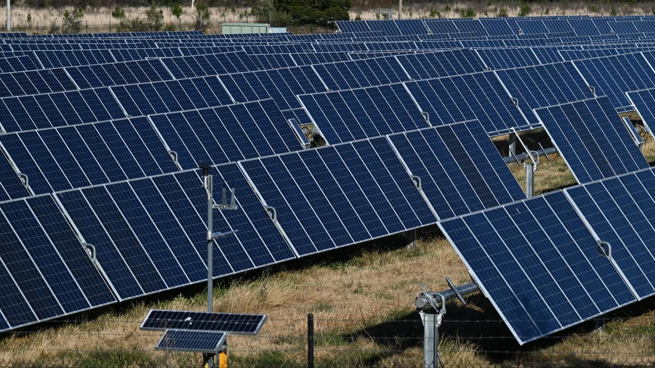Solar panels on a solar farm (file image)