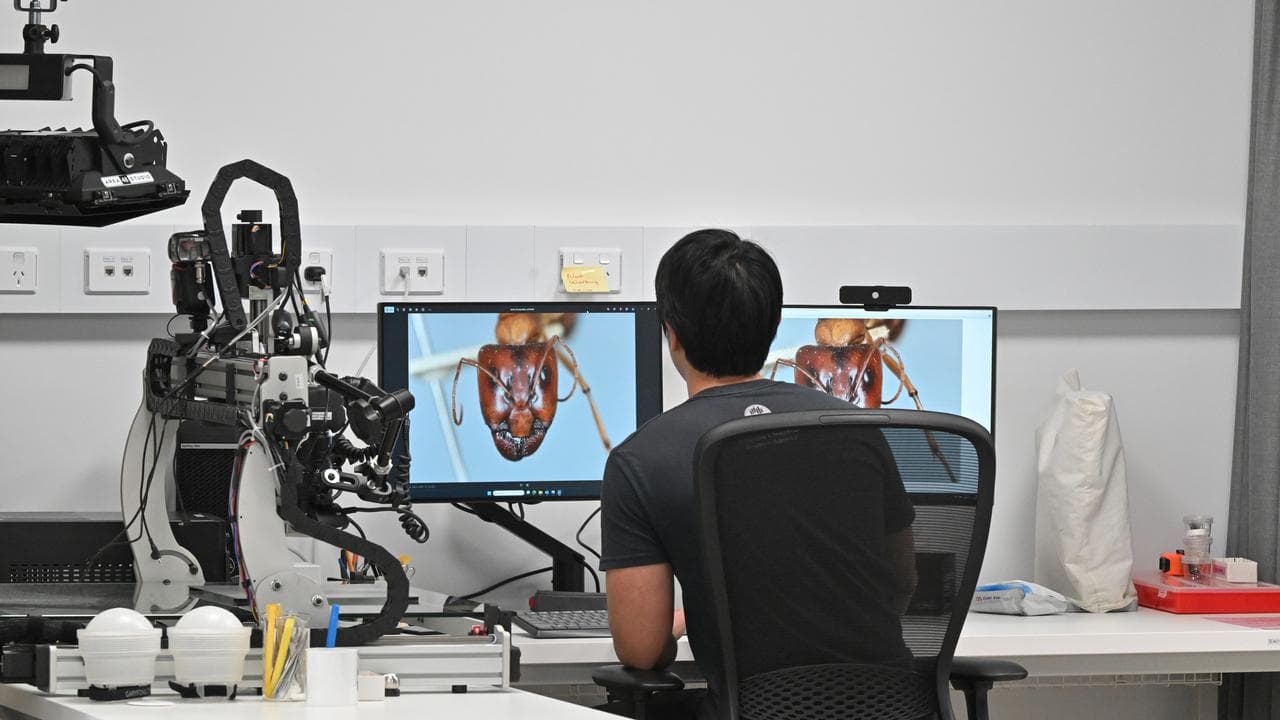 CSIRO Diversity building in Canberra
