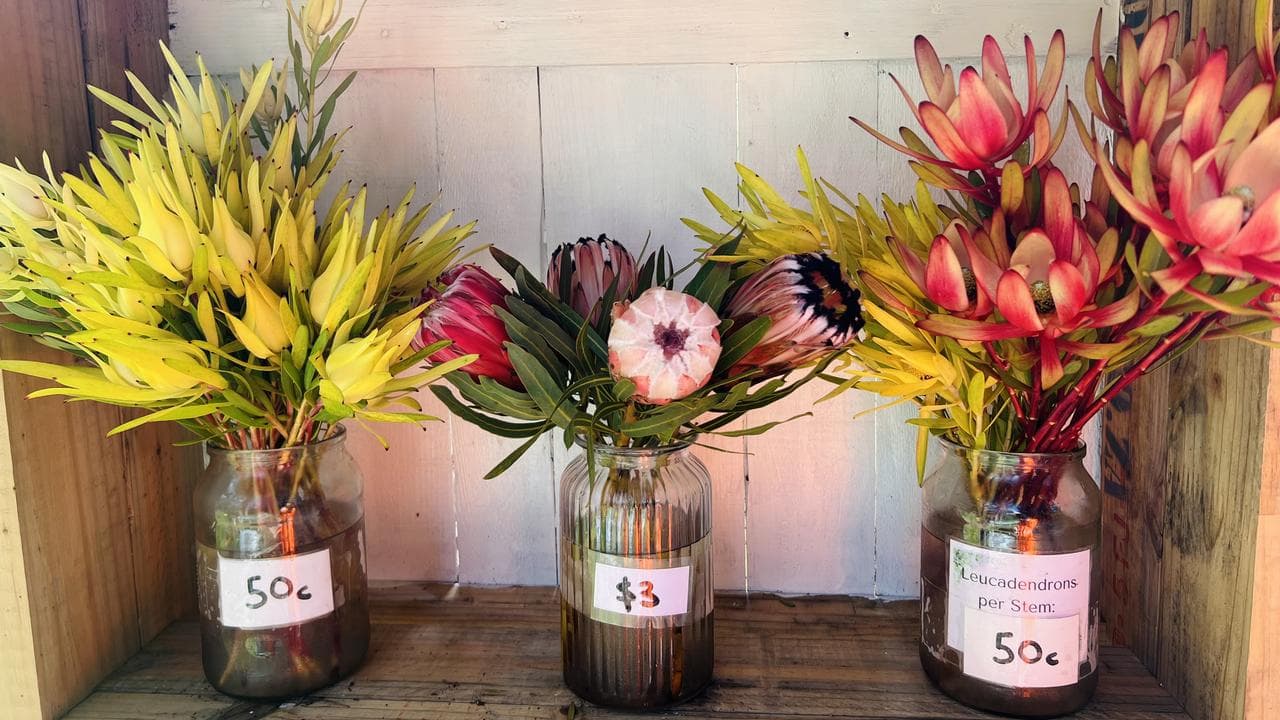 The Blumenfeld flower stall in Lenswood, South Australia