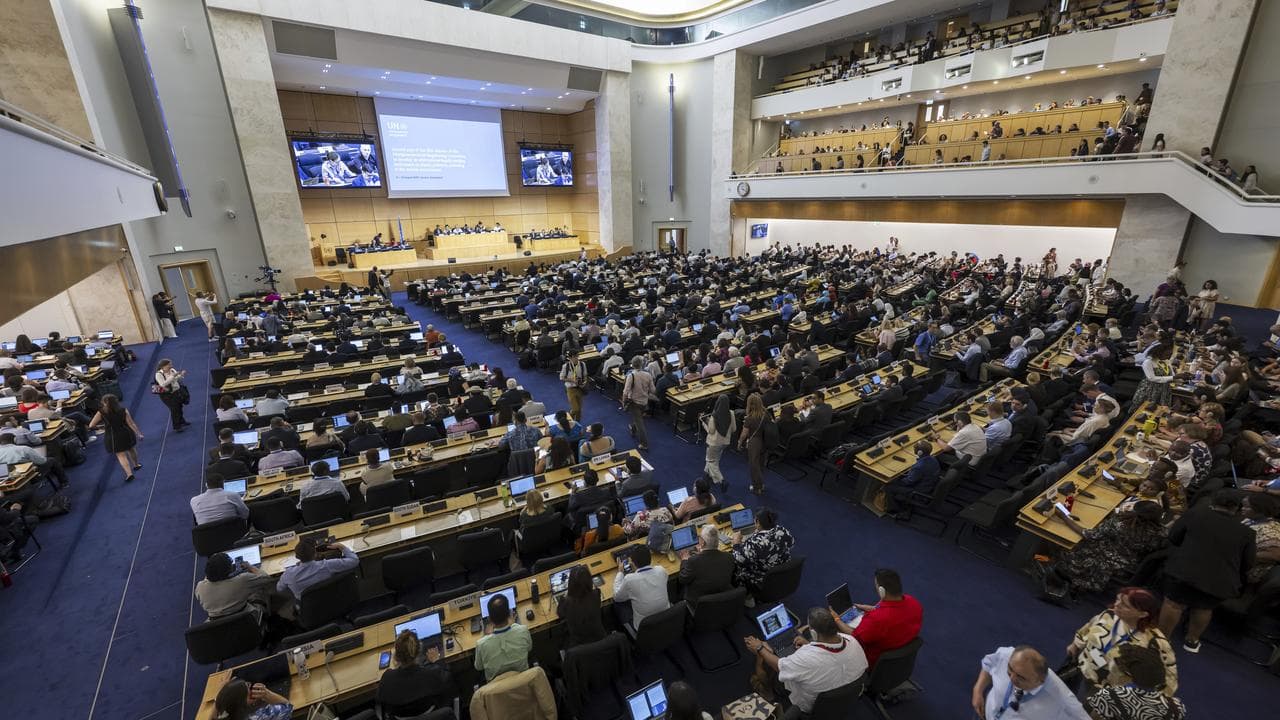 Plenary session takes place of a UN plastics conference in Geneva