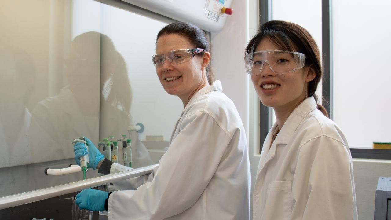 Professor Julie McMullen