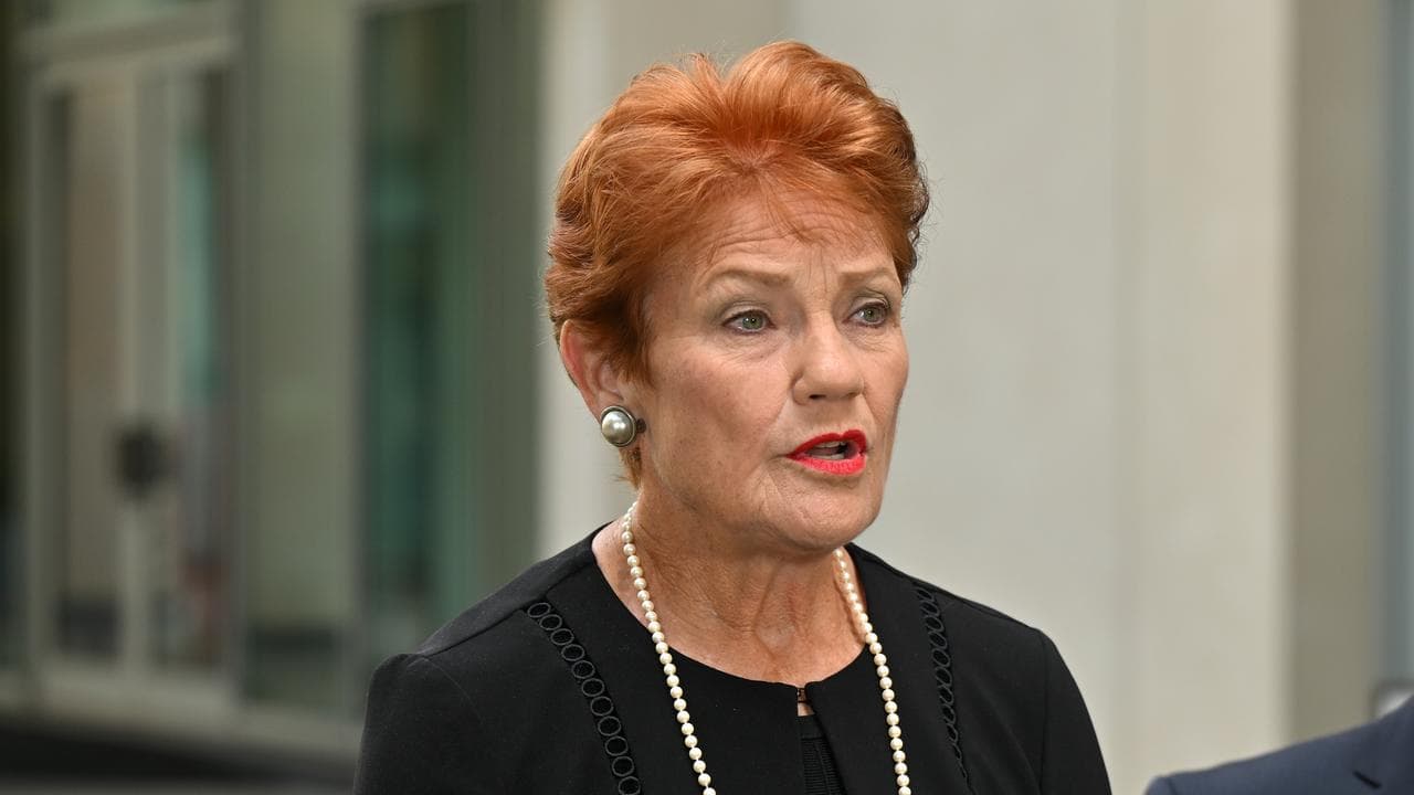 One Nation leader Pauline Hanson