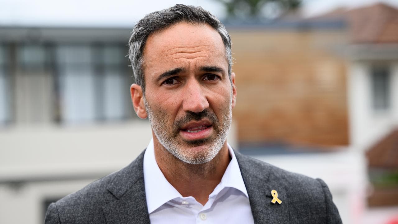 Alex Ryvchin (file image)