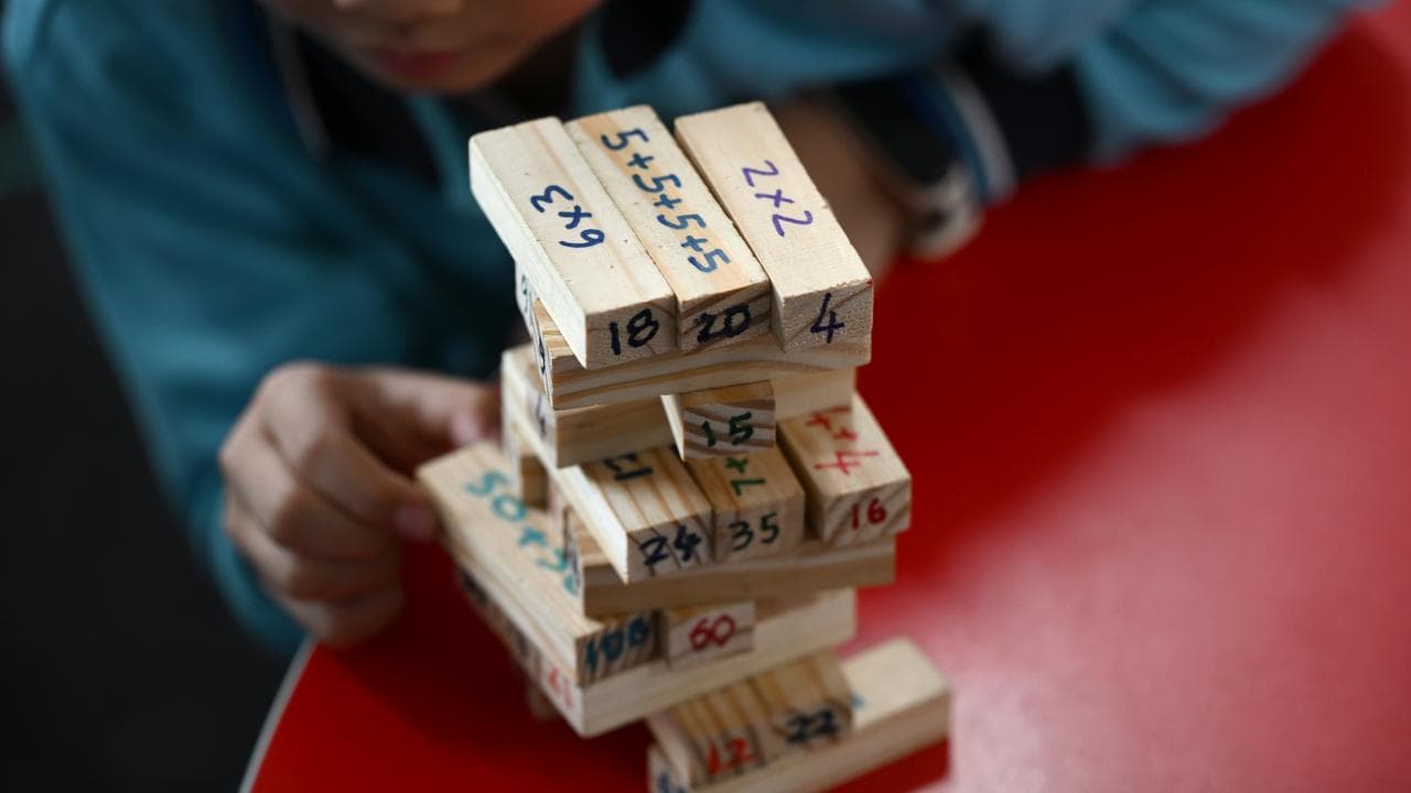 A primary school student (file image)