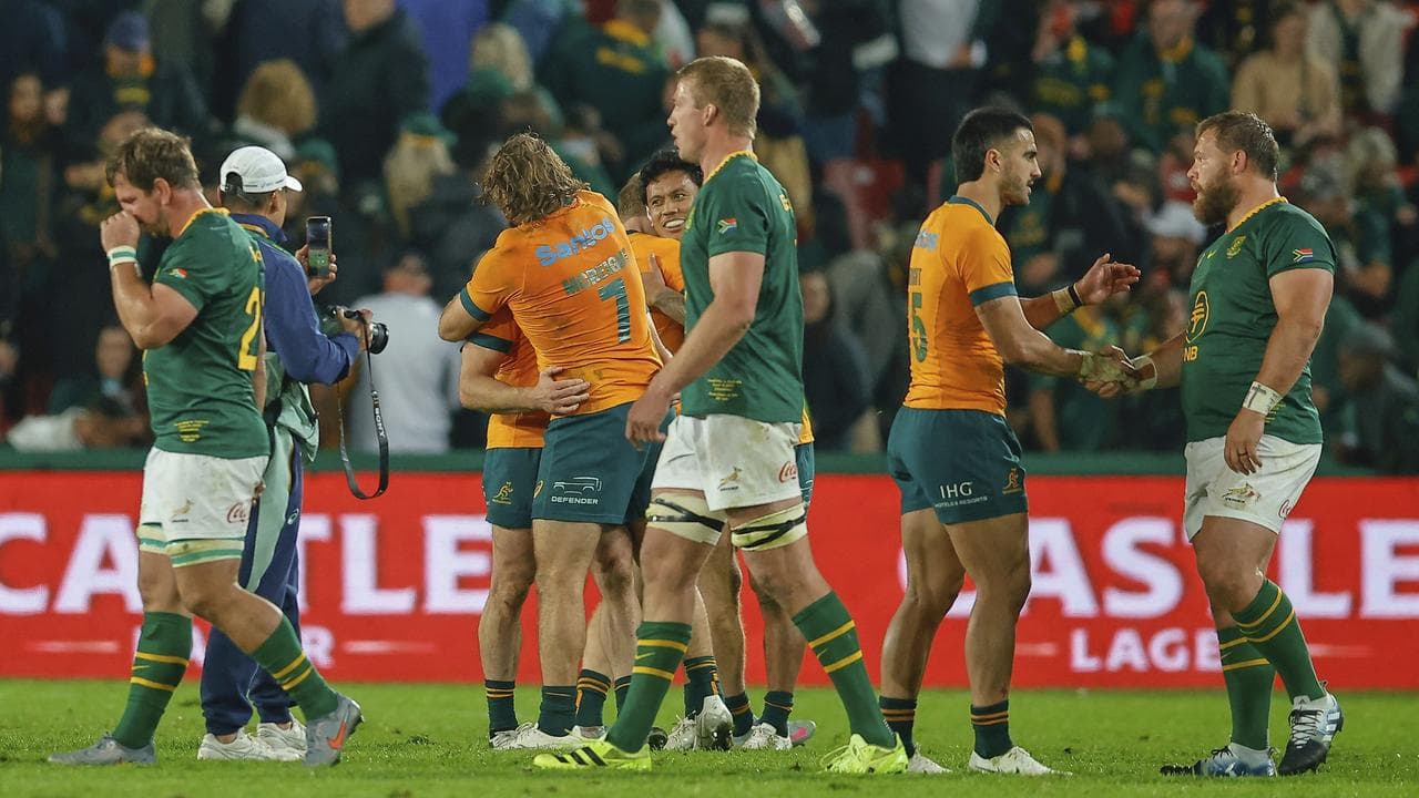 wallabies