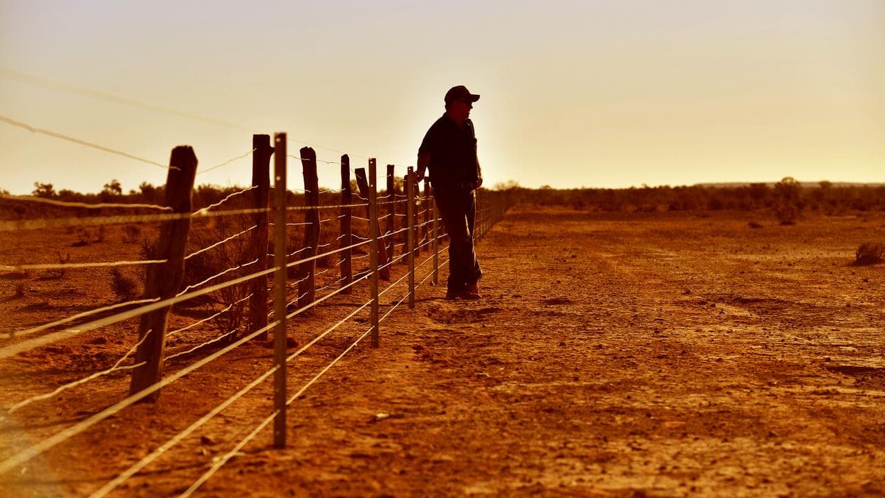 A farmer on his property (file image)