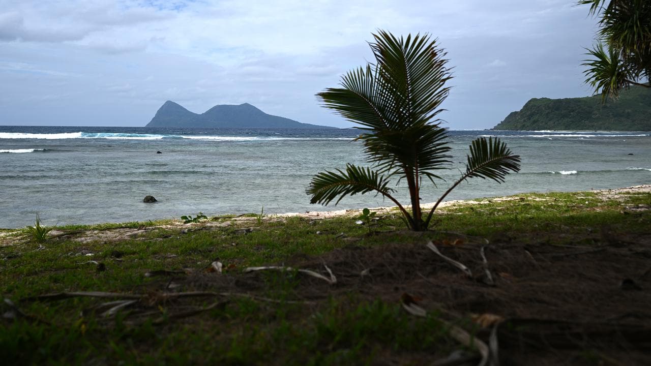 Vegetation on the beach of  Nguna Island, Vanuatu,