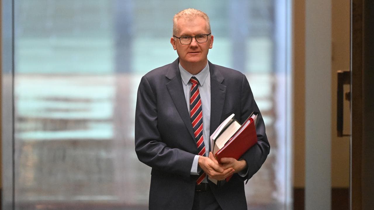 Minister for Home Affairs Tony Burke (file)
