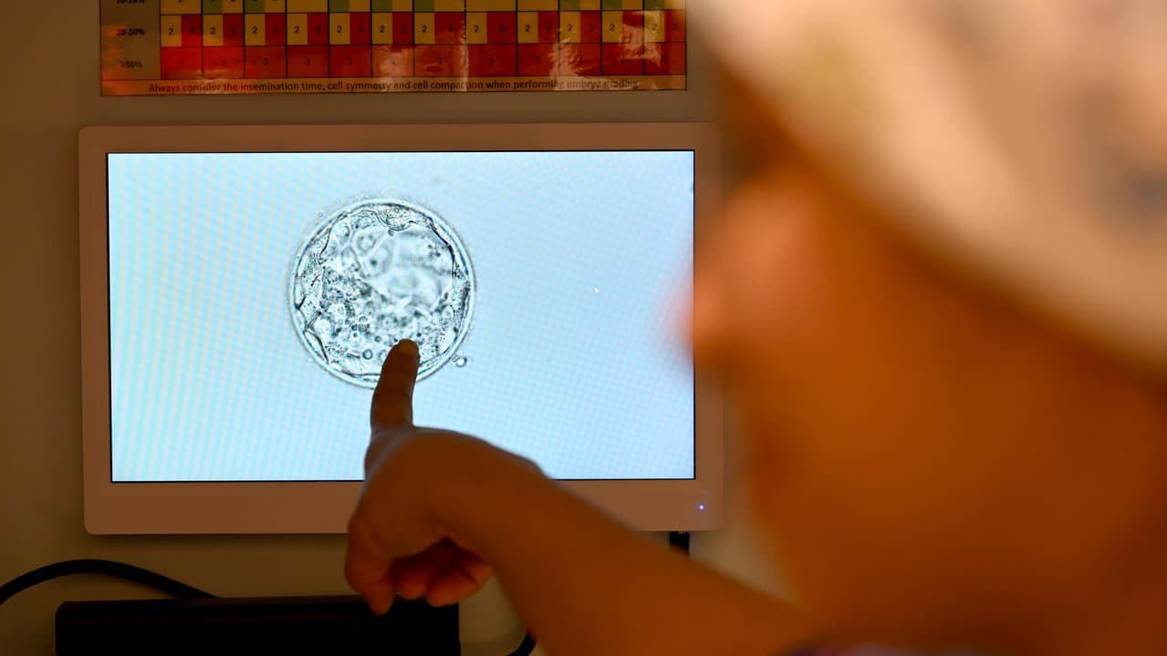 General images of laboratory technicians at work