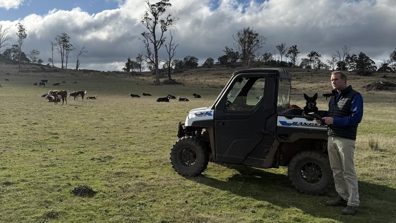 Tasmanian beef farmer Marcus James