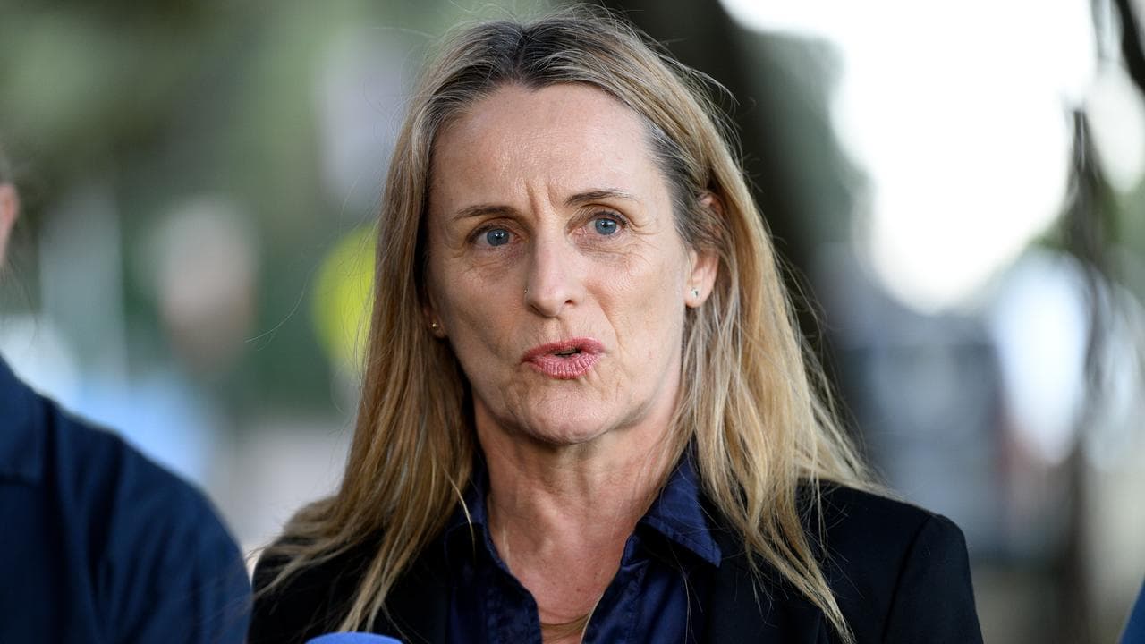 NSW Greens Sue Higginson MLC