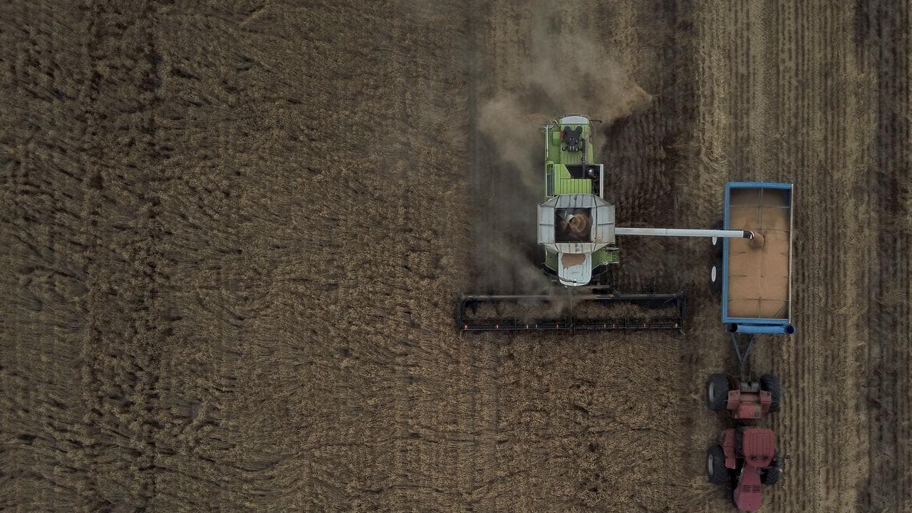 Wheat harvest near Moree, NSW