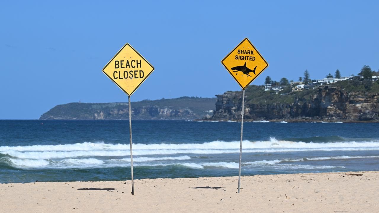 Beach closed signs at the scene of a fatal shark attack