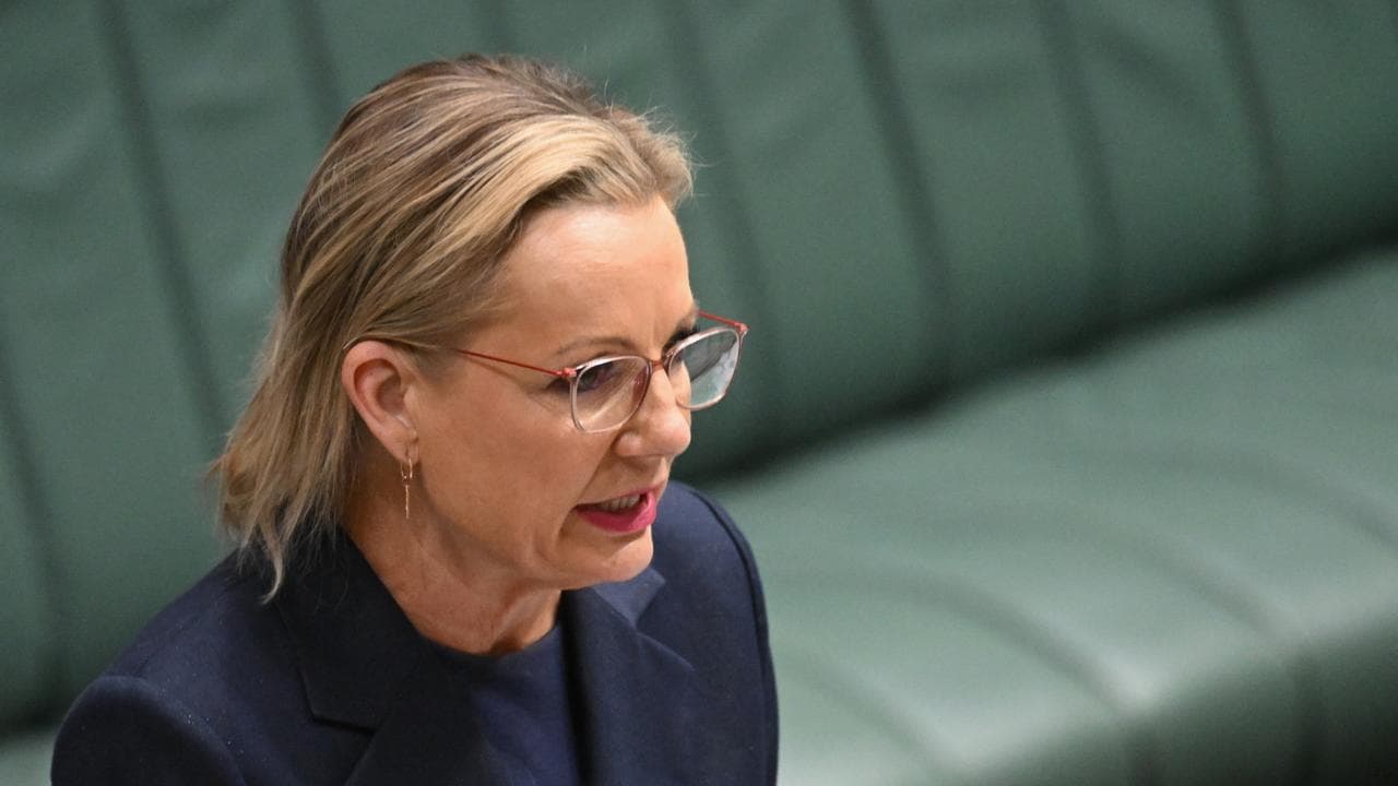 A file photo of Sussan Ley