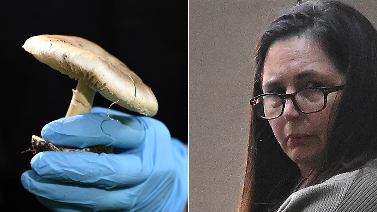 Erin Patterson and death cap mushroom (file)