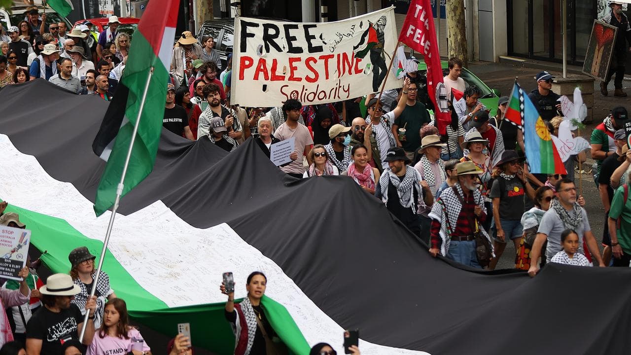 Pro-Palestinian protest