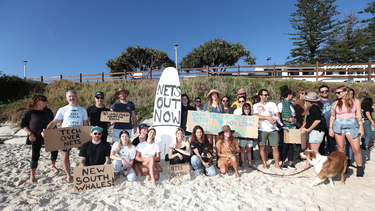 Ocean activists protest against the use of shark nets