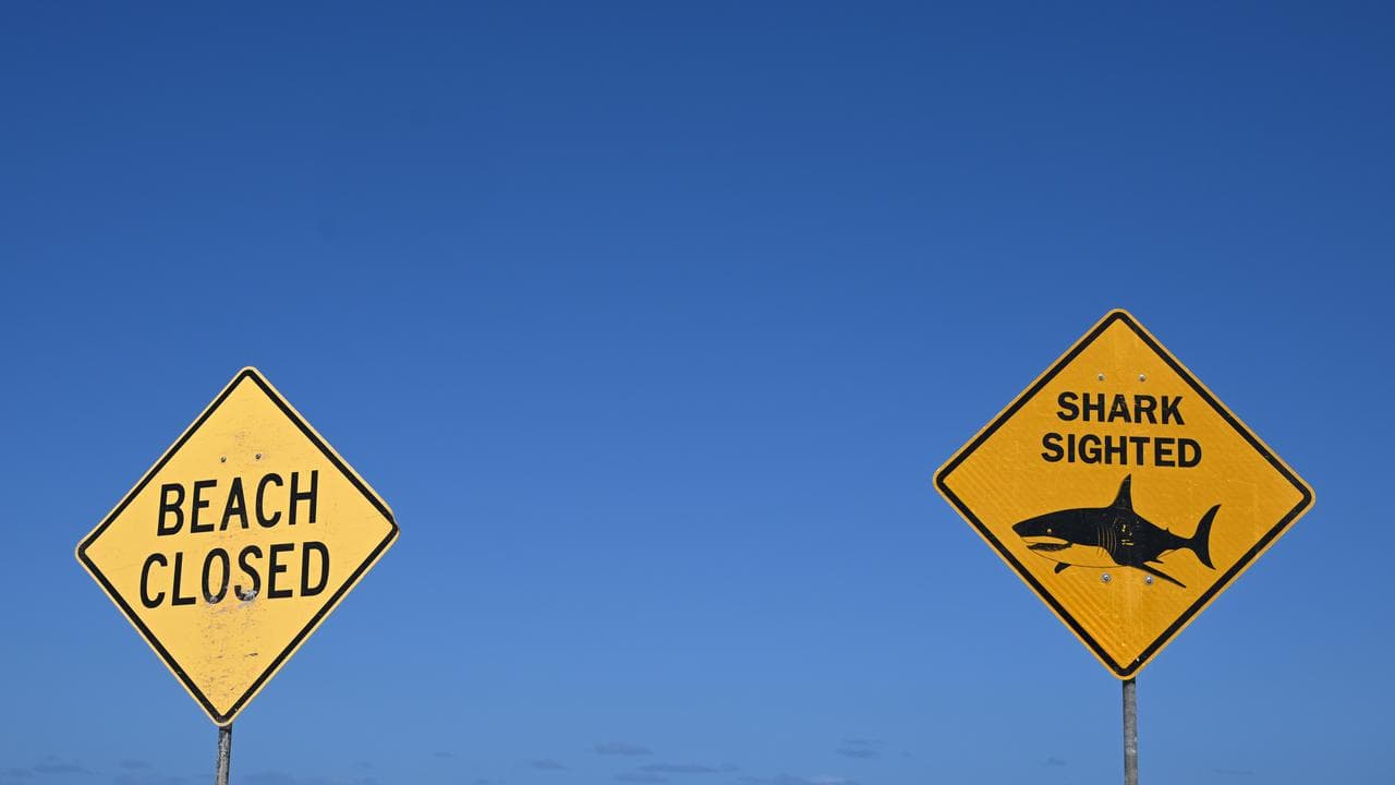 The scene of a fatal shark attack at Long Reef Beach.