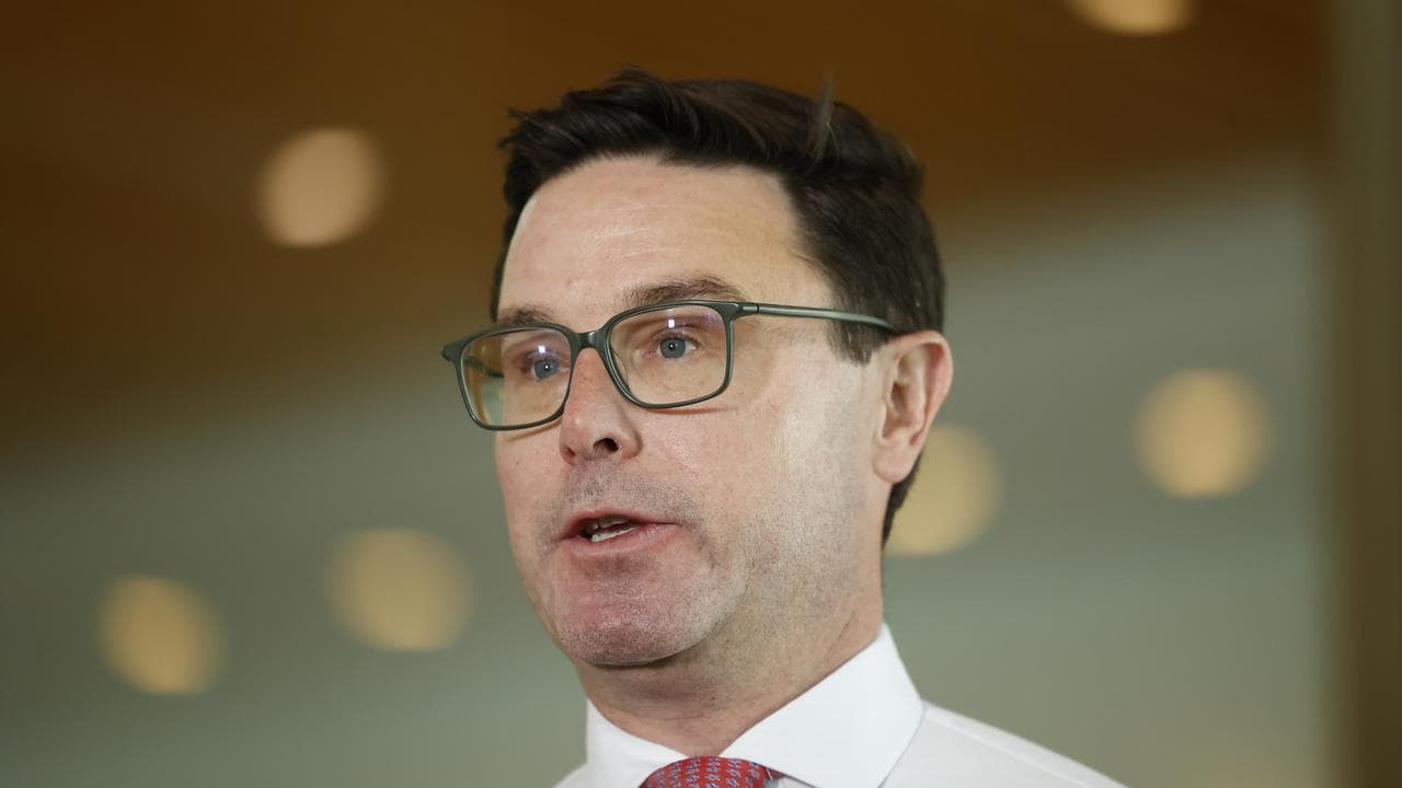 Leader of the Nationals David Littleproud