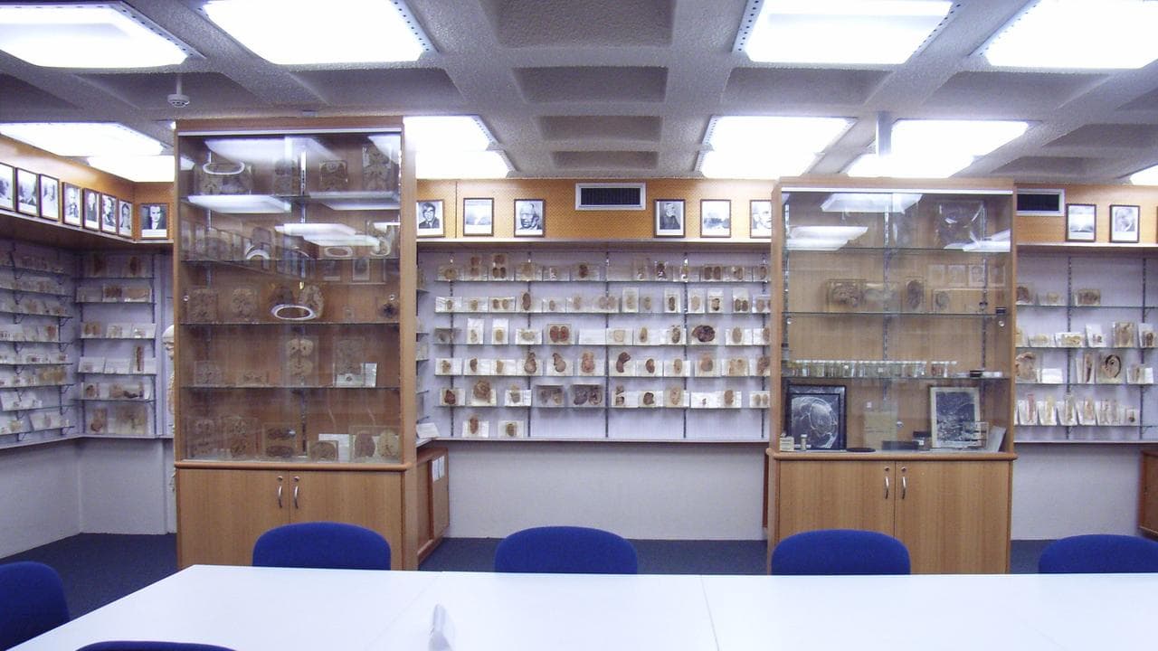 University of Tasmania's R.A. Rodda Museum