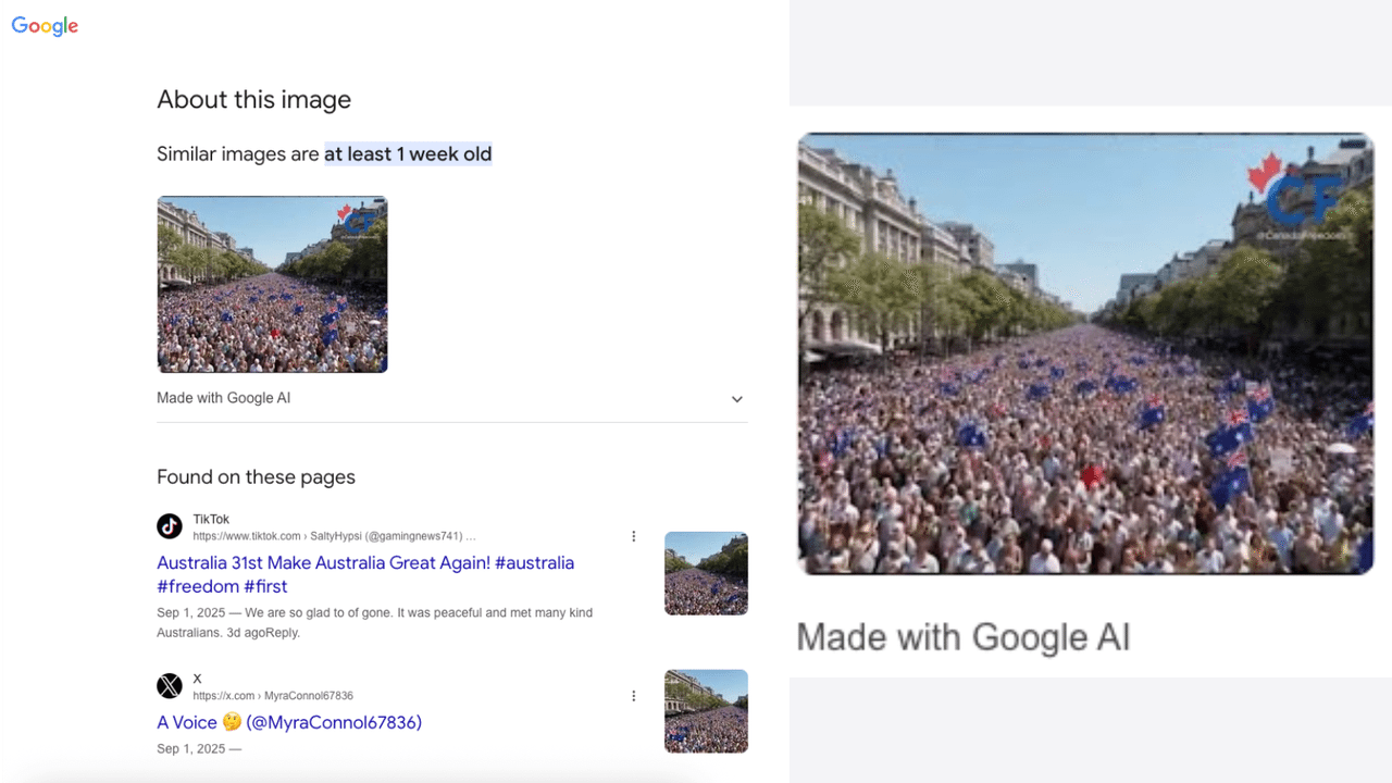 Google Image search on fake March For Australia crowd scene