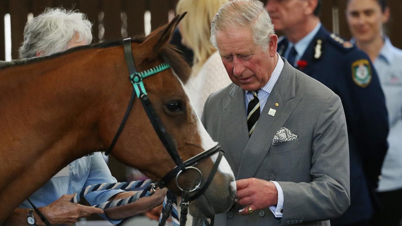 Prince Charles and a horse