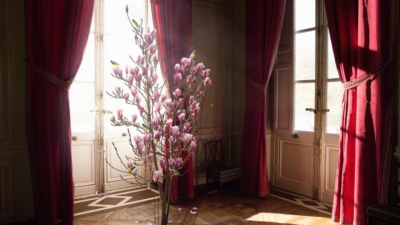 A photograph by artist Alexia Sinclair, A Living Jewel, 2025.