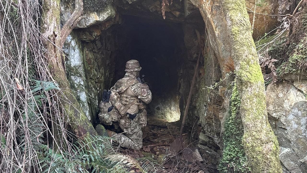 The search for Dezi Freeman