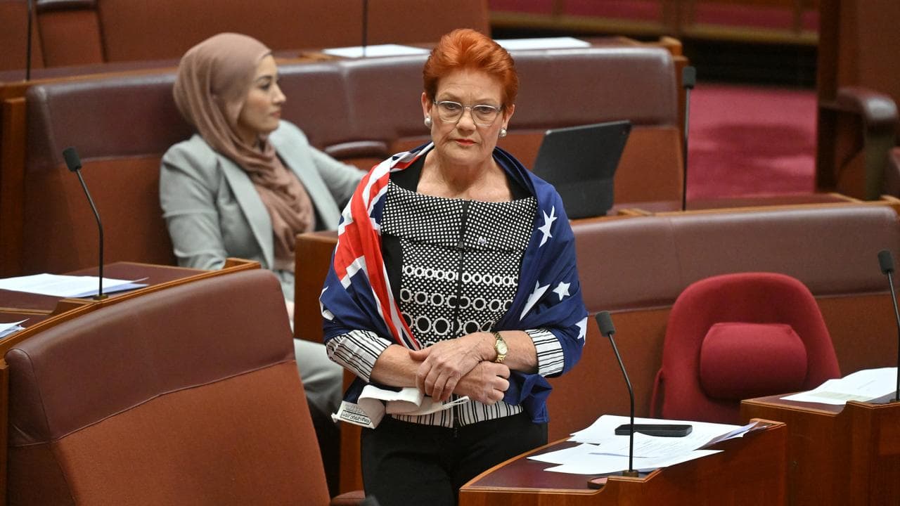 One Nation leader Pauline Hanson (file image)