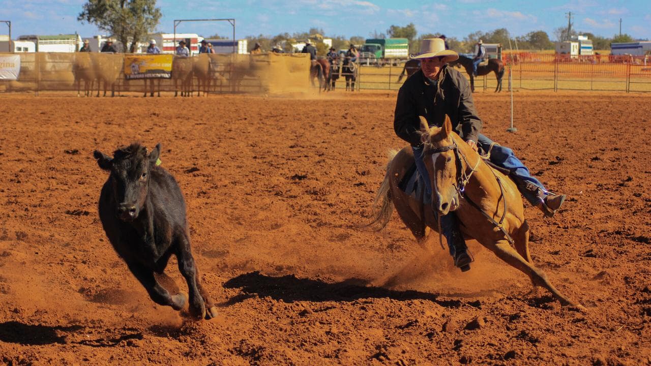 Camp Drafting by Inge Gajczak Erika