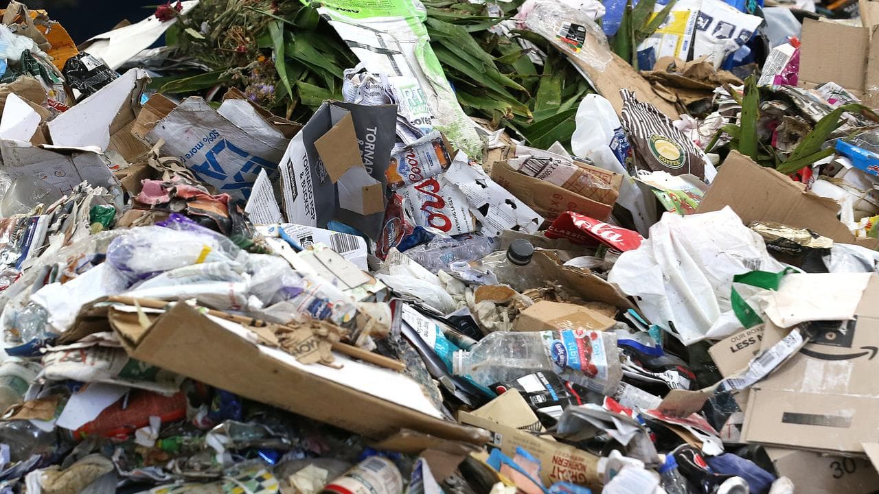 Green waste destined for landfill (file)